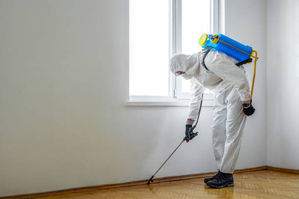 Best Rat Extermination Near Me  in La Center, WA