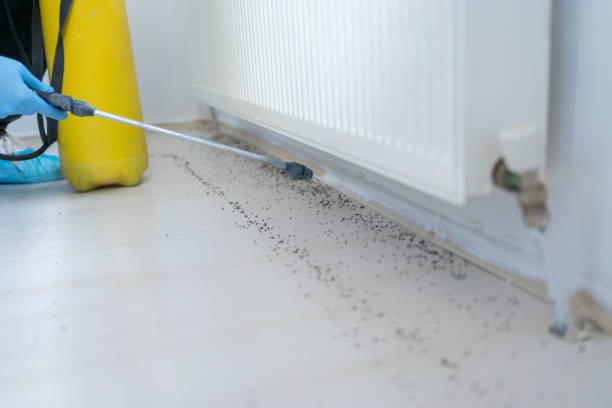 Best Mosquito Control Services  in La Center, WA